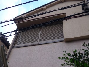 amado1