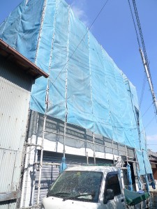 asiba1
