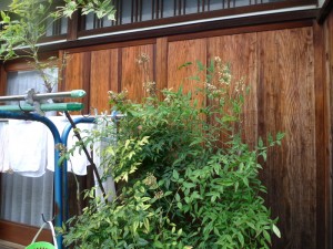 泉佐野市　木製雨戸を鋼製雨戸へ　　